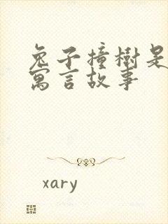 兔子撞树是什么寓言故事封面