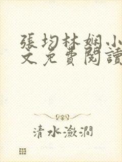 张均林娴小说全文免费阅读封面