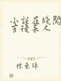 小说在线阅读还有后来人