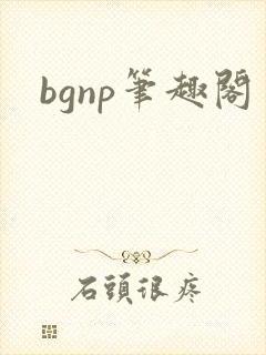 bgnp笔趣阁