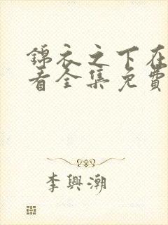 锦衣之下在线观看全集免费播放