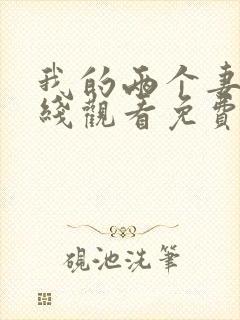 我的两个妻子在线观看免费版电视剧全集