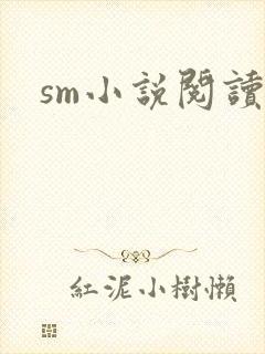 sm小说阅读