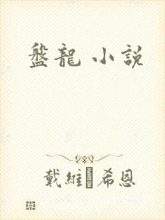 盘龙 小说