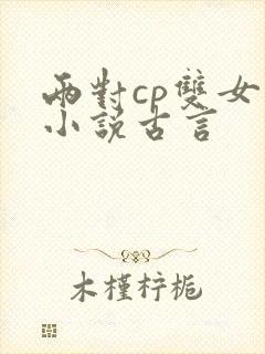 两对cp双女主小说古言