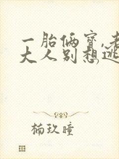 一胎俩宝,老婆大人别想逃阅读