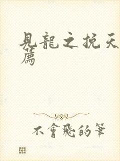 见龙之挽天倾推荐