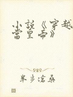 小说《穿越明朝当皇帝》