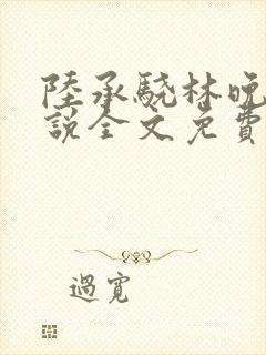 陆承骁林晚星小说全文免费阅读最新封面