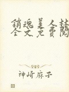 销魂美人林婷婉全文免费阅读小说封面