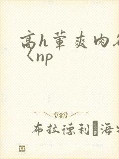 高h荤爽肉欲文〈np