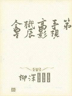 全职高手第二季星辰影视