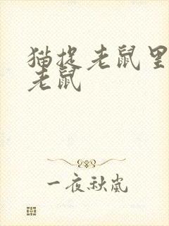 猫捉老鼠里面的老鼠