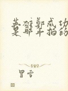 英雄郑成功电影是哪年拍的