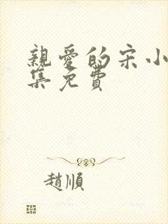 亲爱的宋小姐全集免费