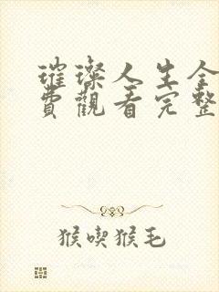 璀璨人生全集免费观看完整版40集