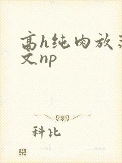高h纯肉放荡h文np