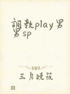 调教play男男sp封面