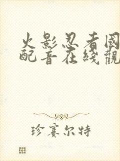 火影忍者国语版配音在线观看