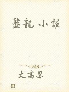 盘龙 小说