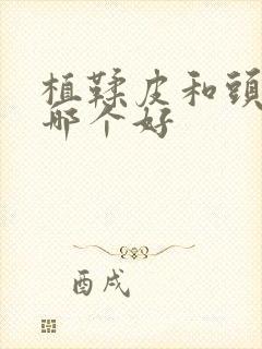 植鞣皮和头层皮哪个好