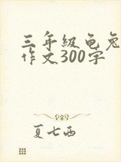三年级龟兔赛跑作文300字