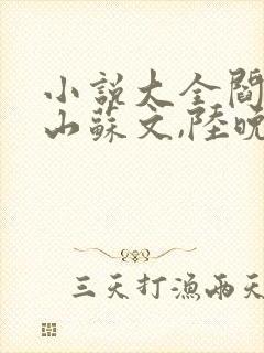 小说大全阎王下山苏文,陆晚风