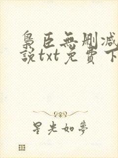 枭臣无删减版小说txt免费下载封面