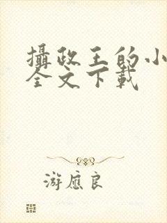 摄政王的小闲妻全文下载封面