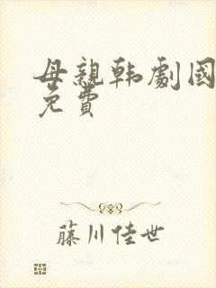 母亲韩剧国语版免费