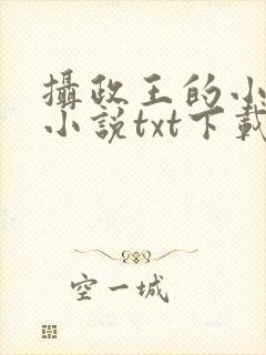 摄政王的小闲妻小说txt下载