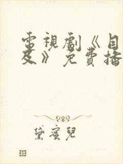 电视剧《目之所及》免费播放