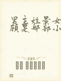 男主姓景女主姓顾是哪部小说封面