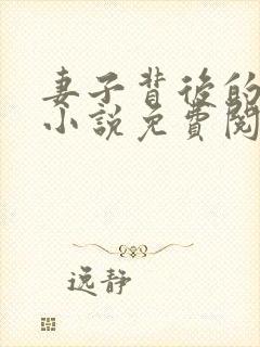 妻子背后的秘密小说免费阅读