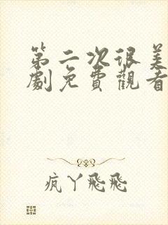 第二次很美电视剧免费观看