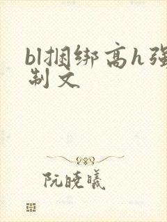 bl捆绑高h强制文