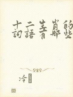 十二生肖的四字词语有哪些