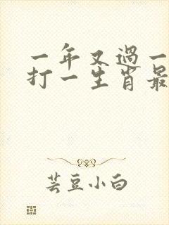 一年又过一年春打一生肖最佳答案