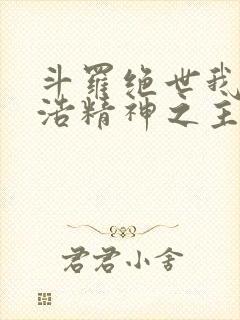 斗罗绝世我霍雨浩精神之主小说