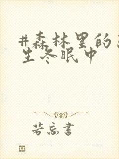 #森林里的熊先生冬眠中