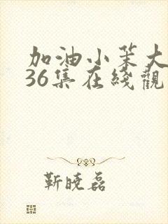 加油小茉大结局36集在线观看