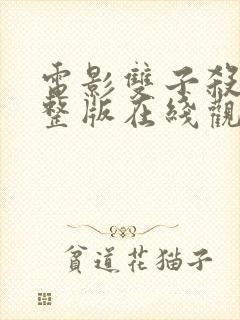 电影双子杀手完整版在线观看