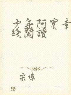 少年阿宾章节在线阅读