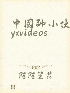 中国帅小伙gayxvideos封面