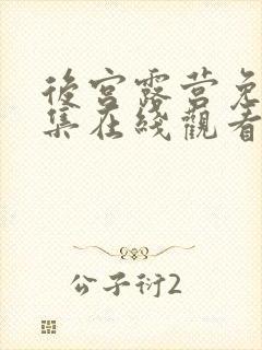 后宫露营免费全集在线观看