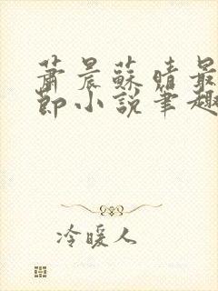 萧晨苏晴最新章节小说笔趣阁