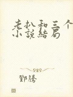 老扒和三个媳妇小说结局