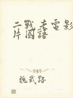 二战老电影译制片国语