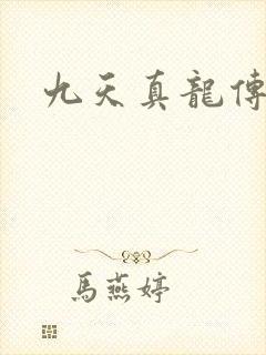九天真龙传封面