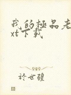 我的极品老婆txt下载